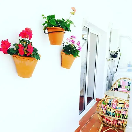 Axarquia Apartamento *